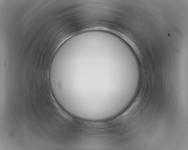 X0000111481281200907141035