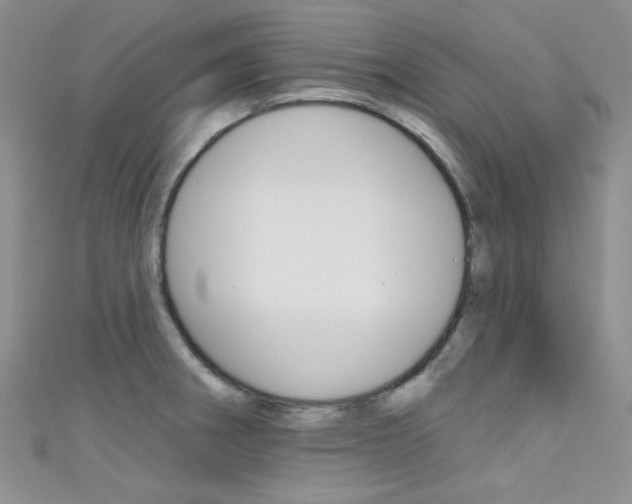 X0000111481282200907141035