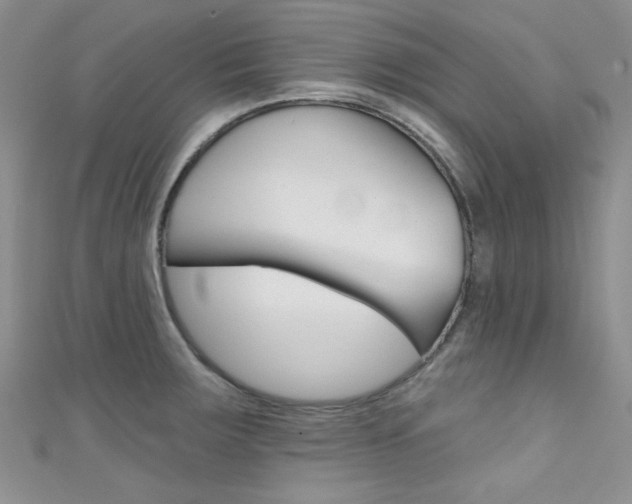 X0000111481283200907141035