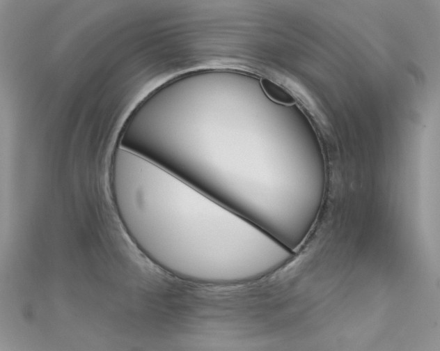 X0000111481284200907141035