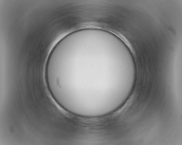 X0000111481285200907141035