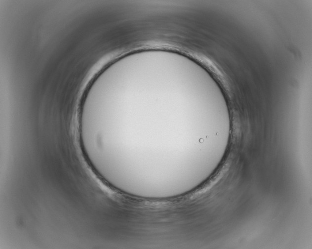 X0000111481286200907141035