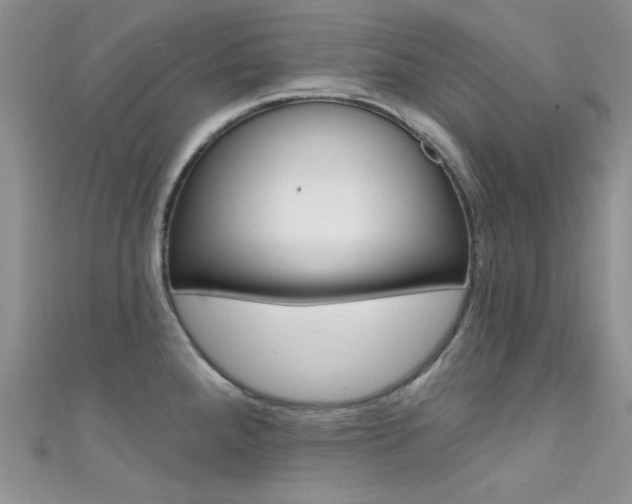 X0000111481288200907141035