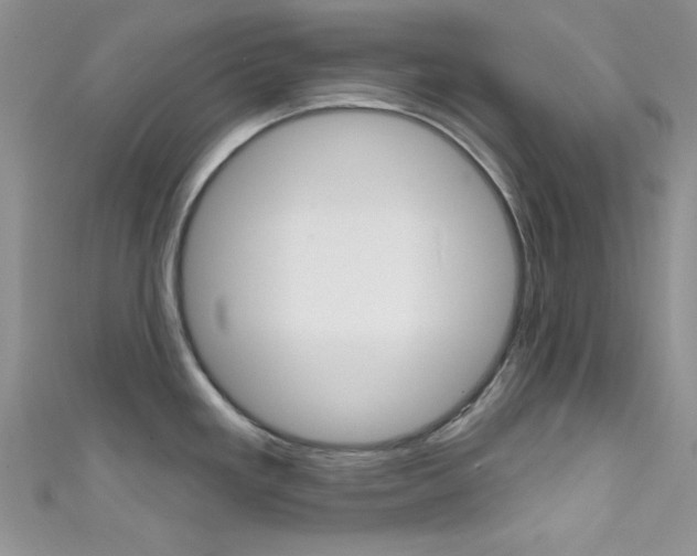 X0000111481293200907141035