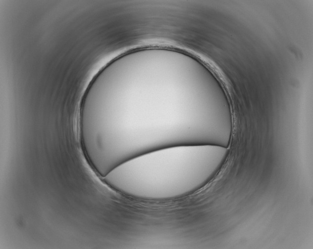 X0000111481295200907141035