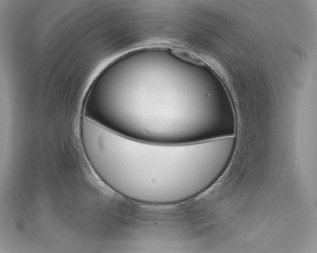 X0000111481296200907141035