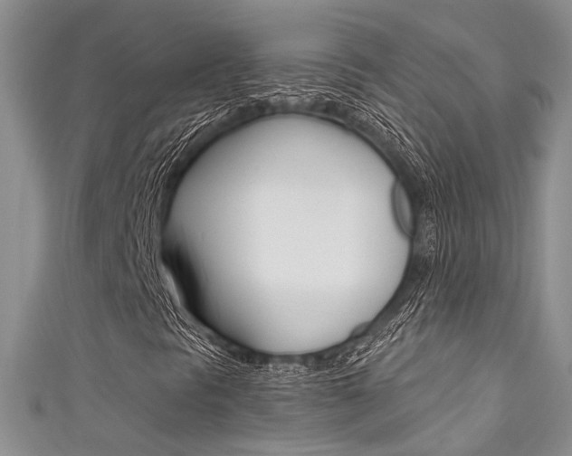 X0000111481297200907141034