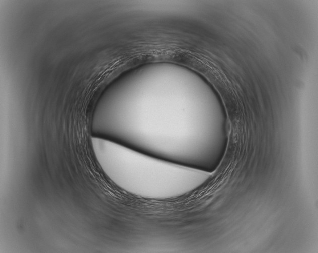 X0000111481298200907141034