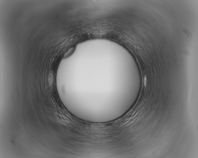 X0000111481299200907141034