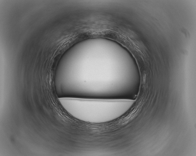 X0000111481300200907141034