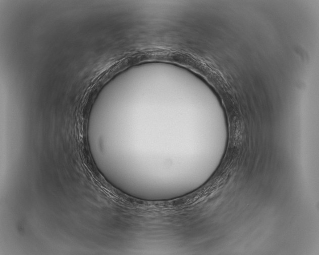 X0000111481301200907141034