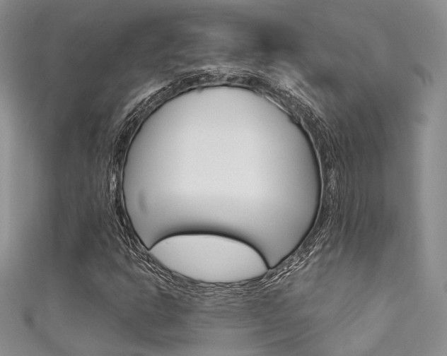 X0000111481302200907141034