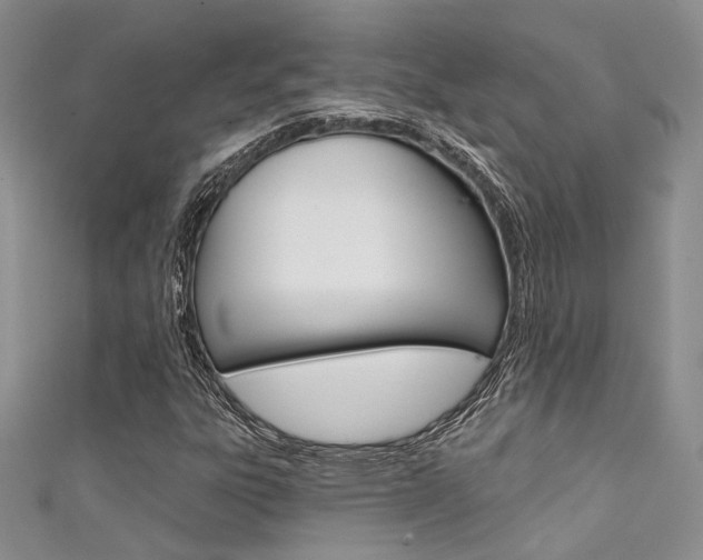 X0000111481303200907141034