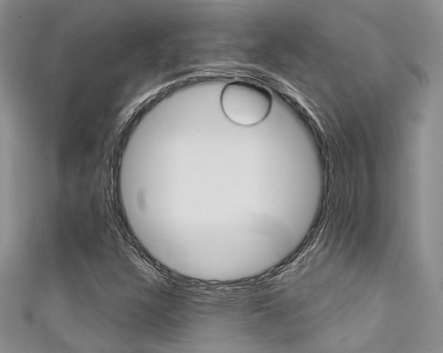 X0000111481304200907141034