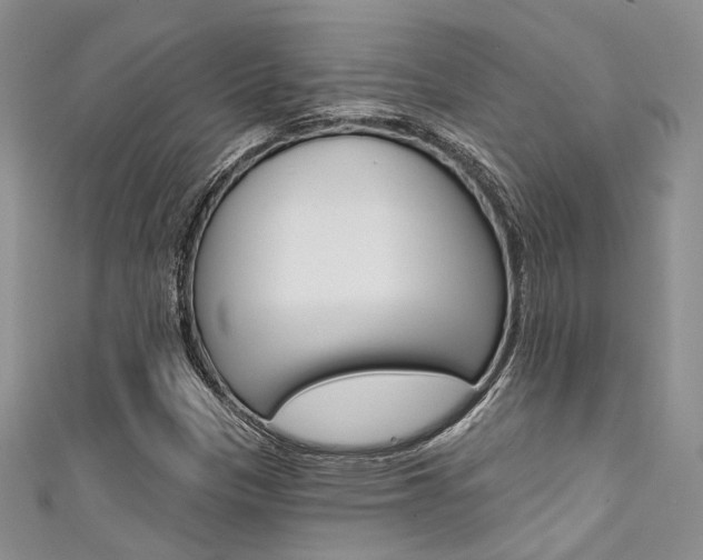 X0000111481305200907141034