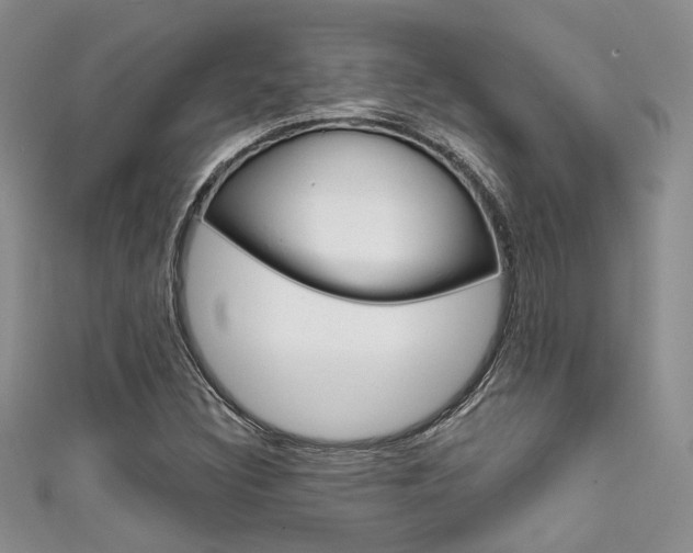 X0000111481308200907141034