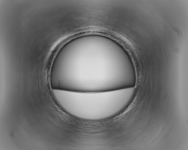 X0000111481310200907141035