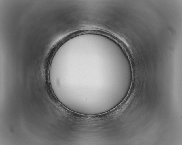X0000111481311200907141035