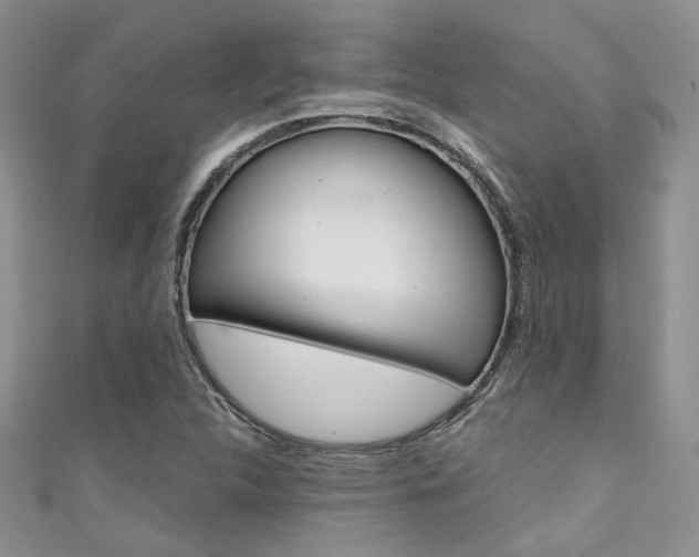 X0000111481312200907141035