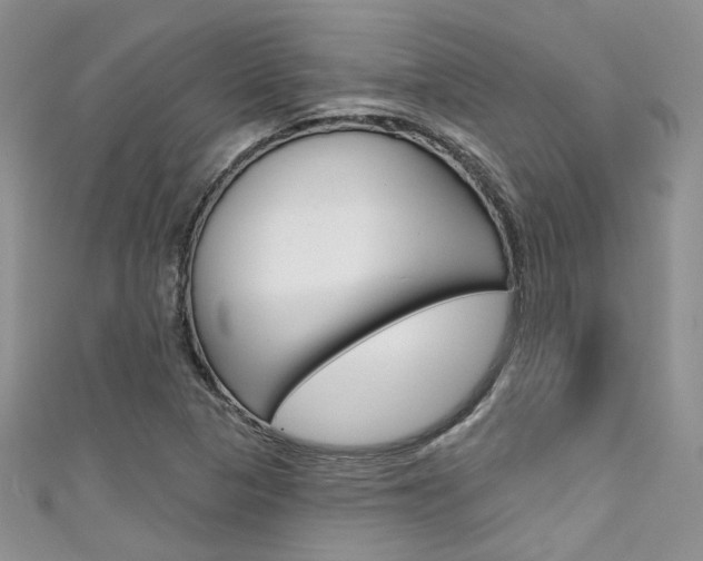 X0000111481313200907141035