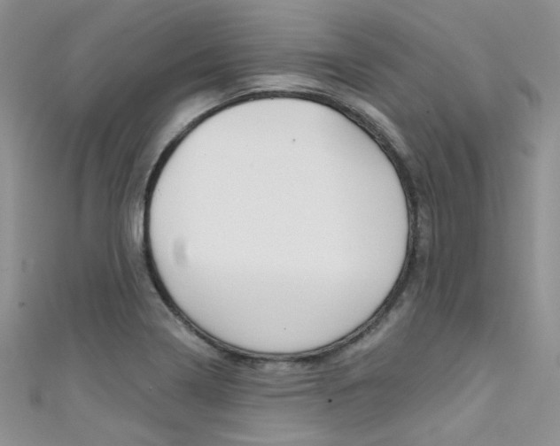X0000111481322200907141035