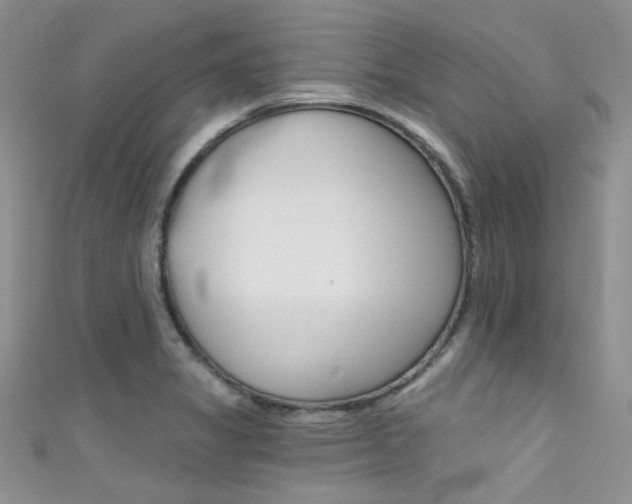 X0000111481325200907141035