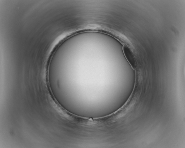 X0000111481326200907141035