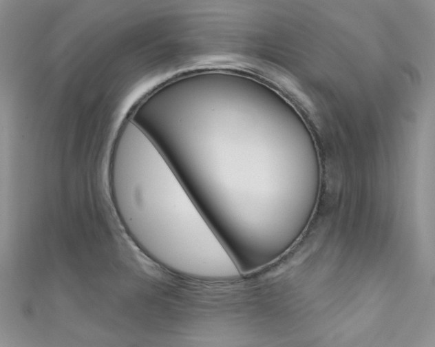 X0000111481328200907141035