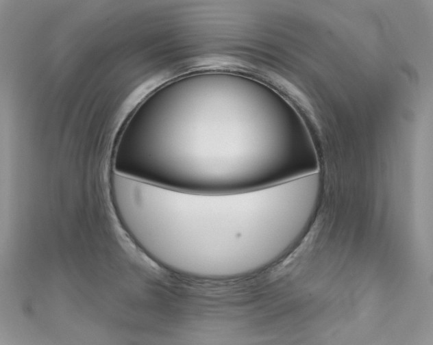 X0000111481330200907141035
