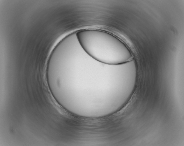 X0000111481332200907141035