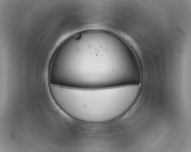 X0000111481334200907141035