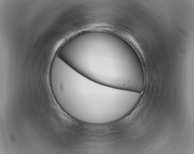 X0000111481336200907141035