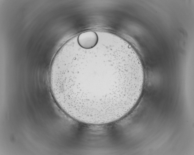 X0000111481338200907141035