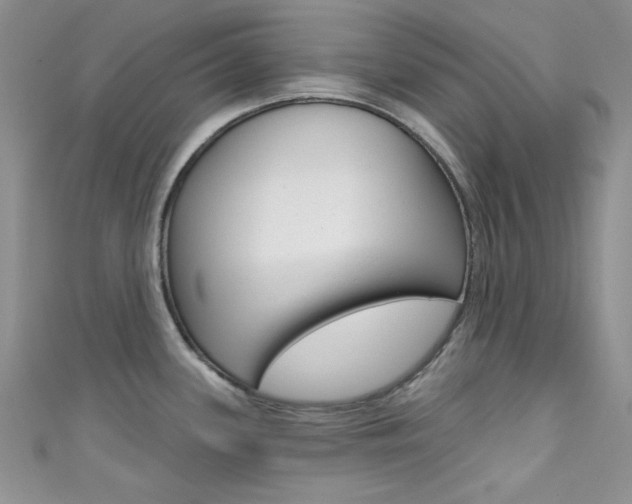 X0000111481339200907141035