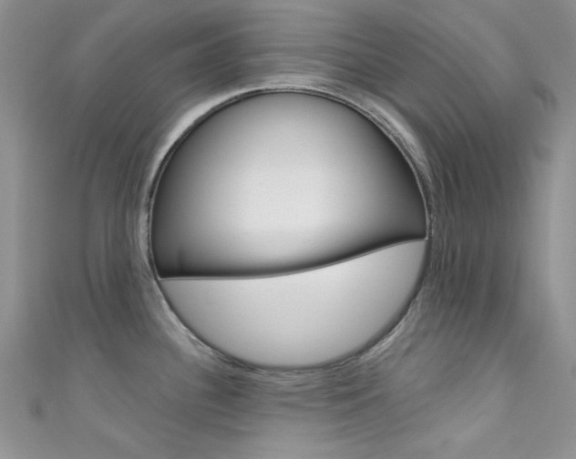 X0000111481340200907141035