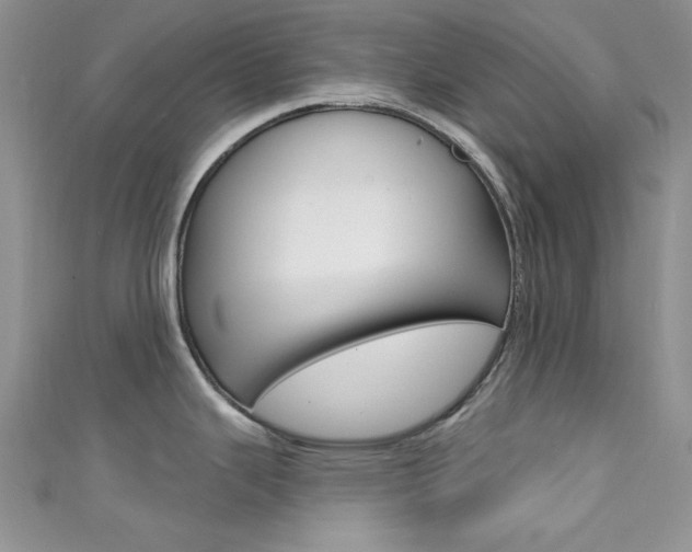 X0000111481343200907141035