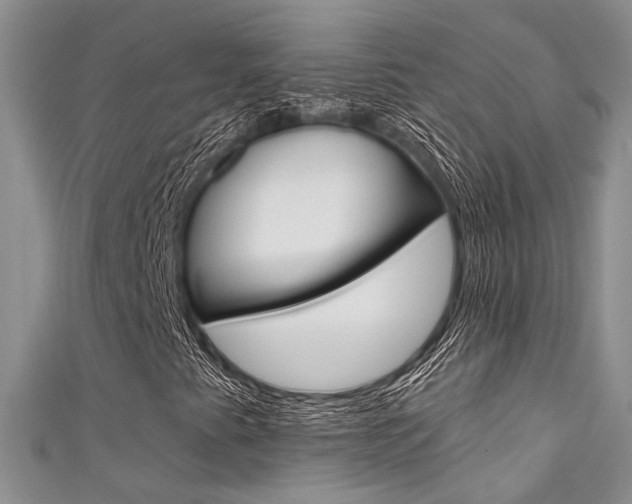 X0000111481345200907141034