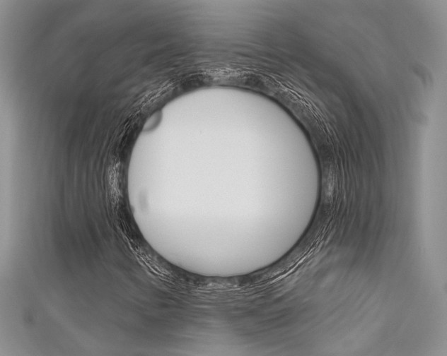 X0000111481346200907141034