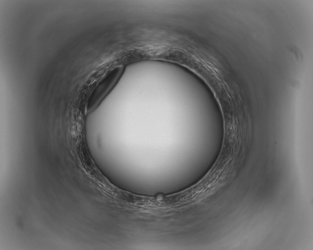 X0000111481349200907141034