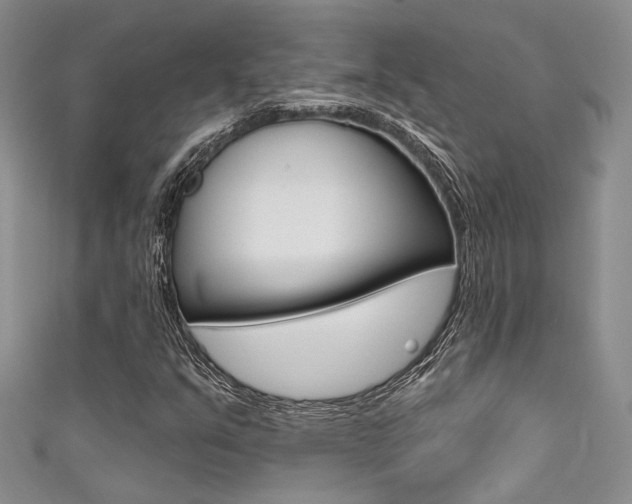 X0000111481351200907141034