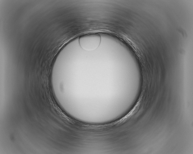 X0000111481353200907141034