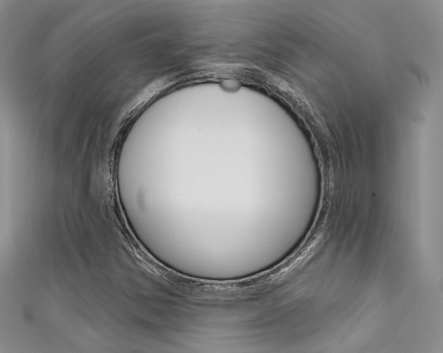 X0000111481354200907141034