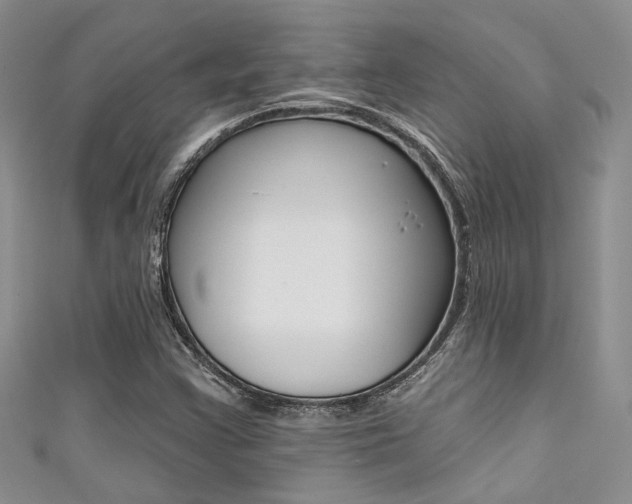X0000111481355200907141034