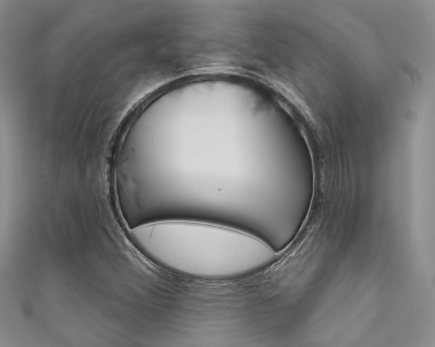 X0000111481356200907141034