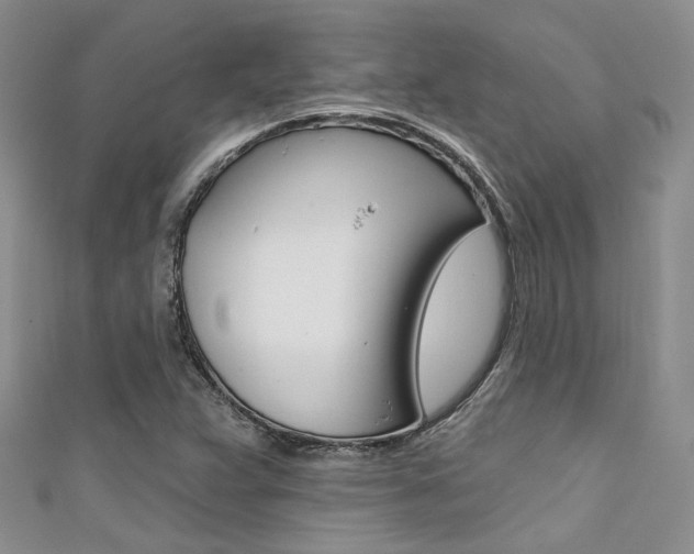 X0000111481359200907141034