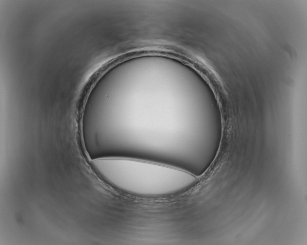 X0000111481360200907141034