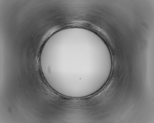 X0000111481362200907141034