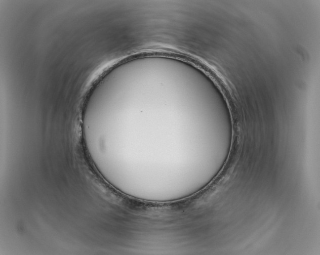 X0000111481363200907141034