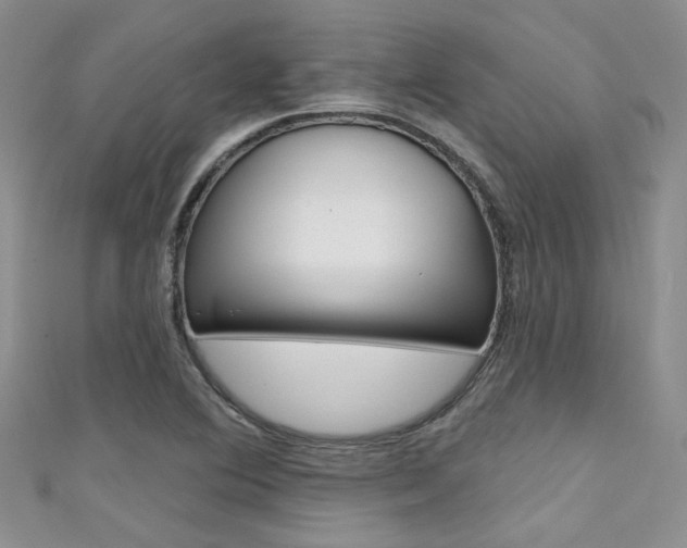 X0000111481364200907141034
