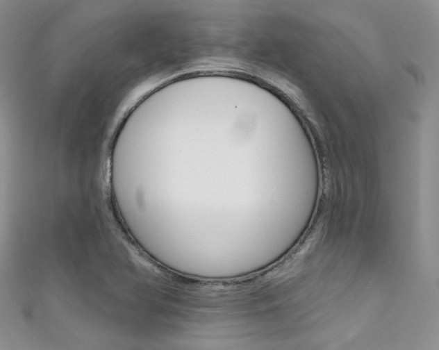 X0000111481366200907141034